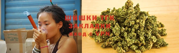 apvp Гусь-Хрустальный
