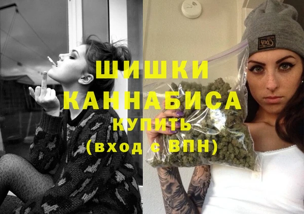 apvp Гусь-Хрустальный