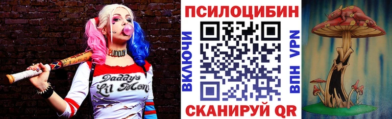 Купить закладки Тольятти Псилоцибиновые грибы прущие грибы